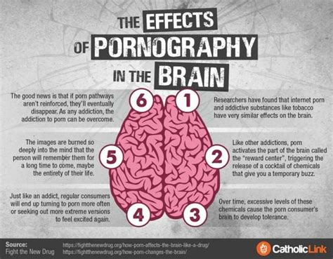 does porn cause brain damage|Pornography Consumption and Cognitive